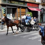 Libreria Dante.הולך הסוס מעדנות...ואוזניו סתומות 